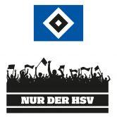 HSV Aufstiegsparty